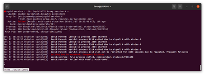 eblocker258 Squid Hangup  vom 2020 12 08 06 41 33