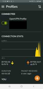 OpenVPN Connect(ohne)